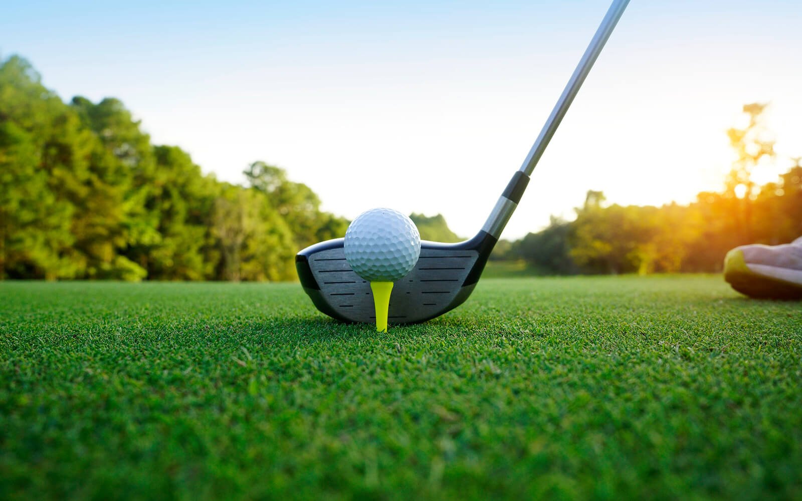 Midnight Drive Midnight Drive